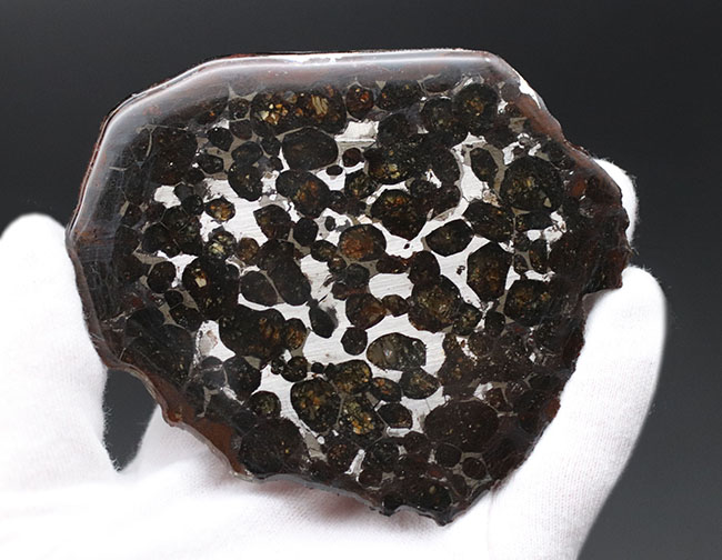 黄金色を呈する美しきかんらん石を御覧ください！２０１６年にケニアで発見された新しいパラサイト隕石（本体防錆処理済み）（その4）
