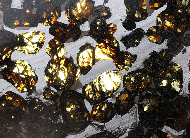 黄金色を呈する美しきかんらん石を御覧ください！２０１６年にケニアで発見された新しいパラサイト隕石（本体防錆処理済み）（その5）