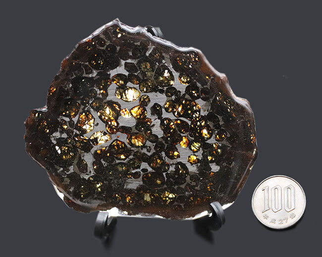 黄金色を呈する美しきかんらん石を御覧ください！2016年にケニアで