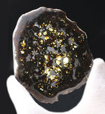 黄金色を呈する美しきかんらん石を御覧ください！２０１６年にケニアで発見された新しいパラサイト隕石（本体防錆処理済み）