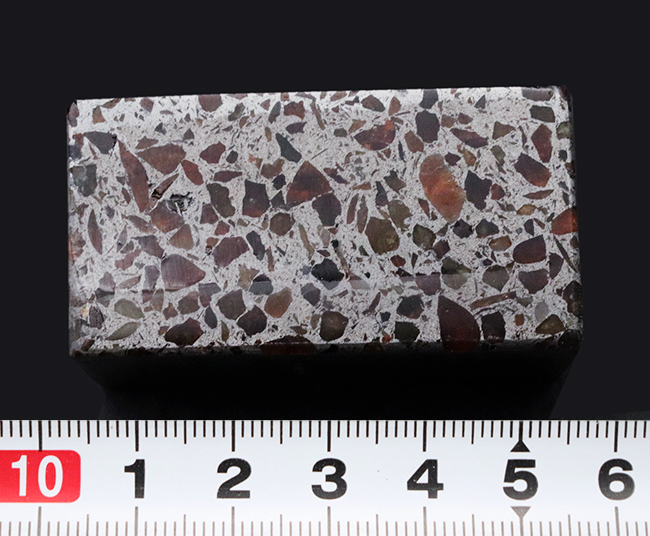 大人気！贅沢なキューブ型にカットされた、ケニア産の美しきパラサイト