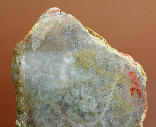 恐竜の糞（うんち）が化石になった鉱物、コプロライト（Coprolite）（その2）