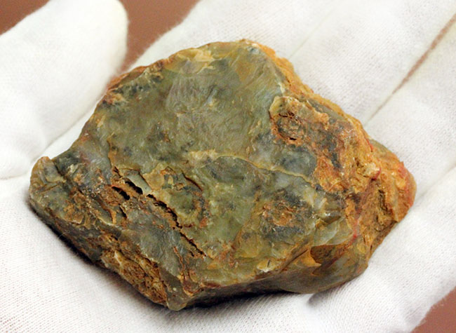 恐竜の糞（うんち）が化石になった鉱物、コプロライト（Coprolite）（その5）