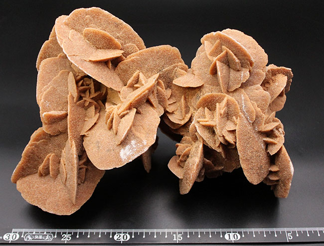 砂漠の薔薇 Desert Rose Sand Rose デザートローズ サンドローズ