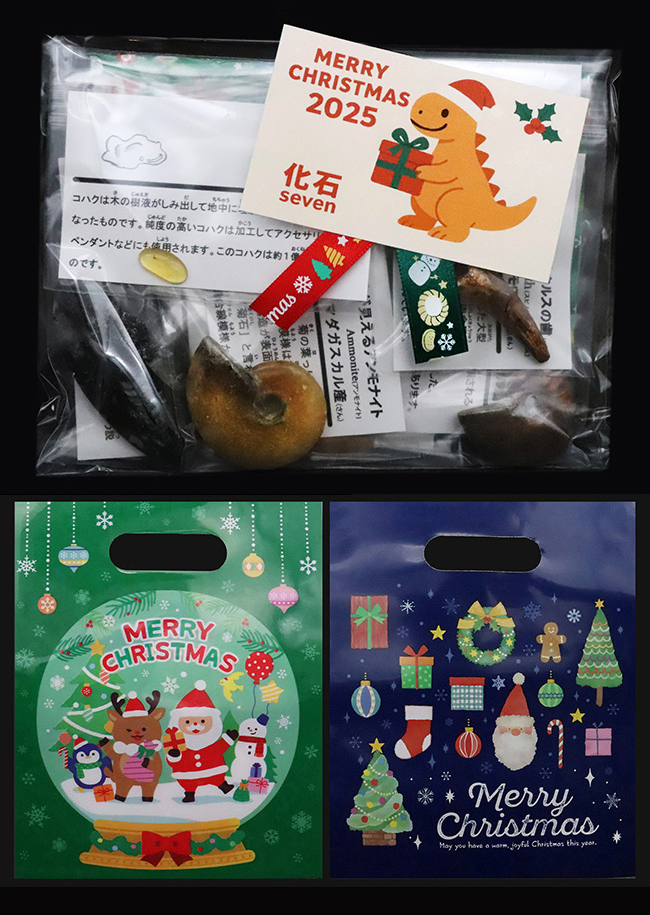 【2025年クリスマス限定】恐竜・化石が大好きなお子さまへ。本物6点の豪華化石コレクション｜スピノ＆モササウルスの歯・琥珀・オルソセラス・アンモナイト2種｜ラッピング無料・数量限定（その8）