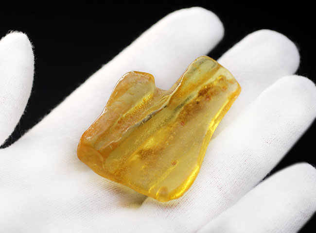 レア!レモンイエローを呈する大サイズの標本。コロンビア産のコーパル(Copal)(その2)