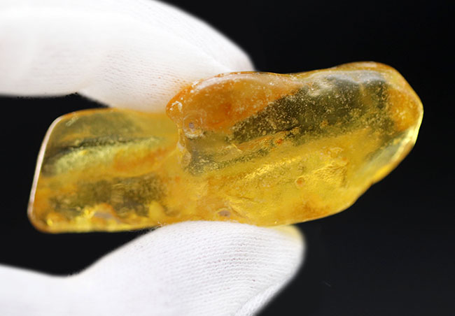 レア!レモンイエローを呈する大サイズの標本。コロンビア産のコーパル(Copal)(その9)