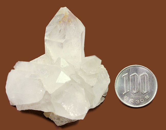 ナチュラル、鉱物コレクションの基本の「き」ともいうべき無色透明の石英結晶、水晶のクラスター標本。（その5）