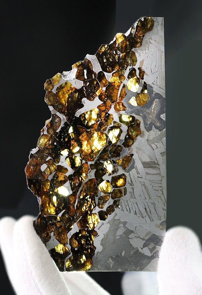 最厚部３ミリもあるにも関わらずカンラン石が煌々と輝く！１０センチ超える、巨大なロシア産の石鉄隕石（パラサイト）、セイムチャン（Seymchan）の上質標本（その1）