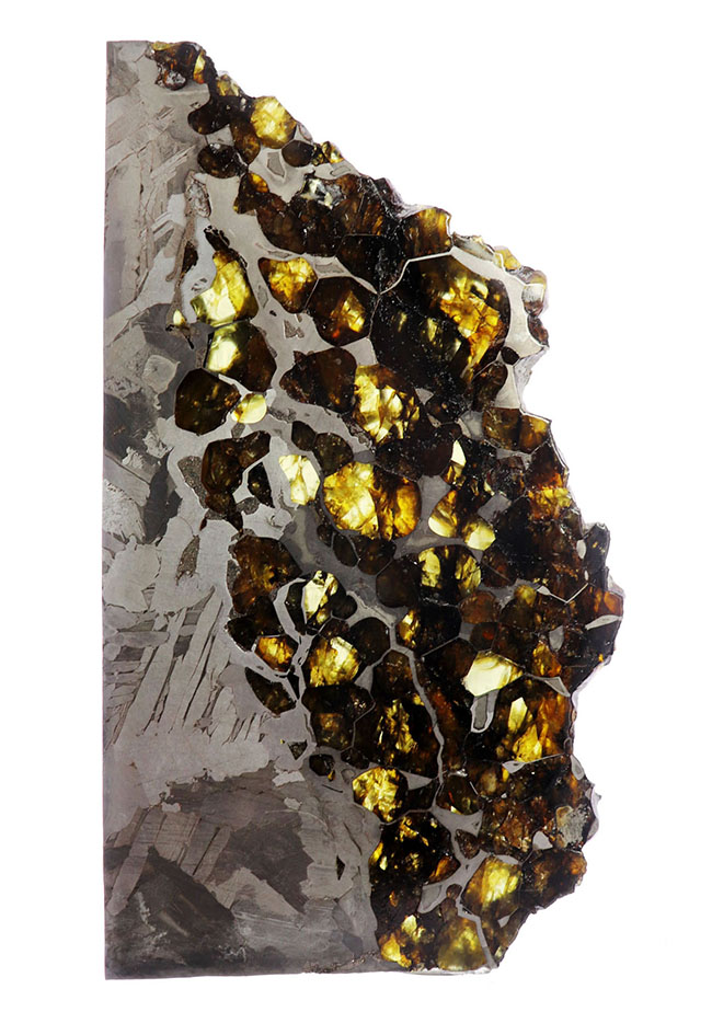 最厚部３ミリもあるにも関わらずカンラン石が煌々と輝く！１０センチ超える、巨大なロシア産の石鉄隕石（パラサイト）、セイムチャン（Seymchan）の上質標本（その10）