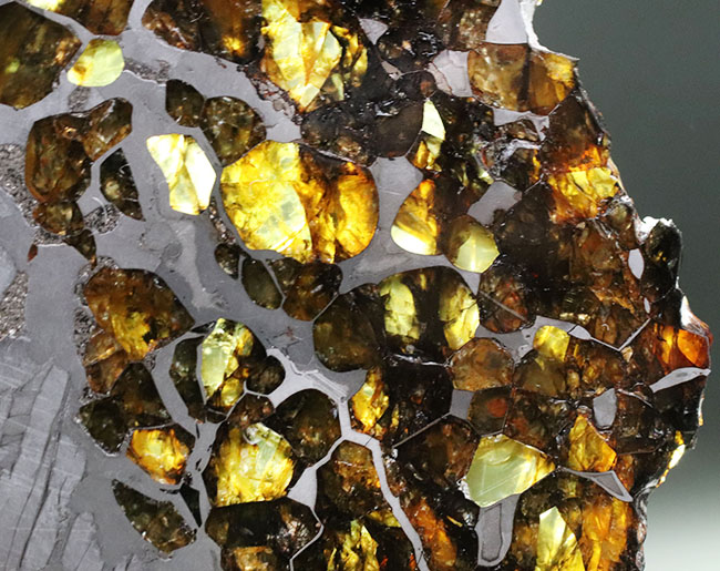 最厚部３ミリもあるにも関わらずカンラン石が煌々と輝く！１０センチ超える、巨大なロシア産の石鉄隕石（パラサイト）、セイムチャン（Seymchan）の上質標本（その2）