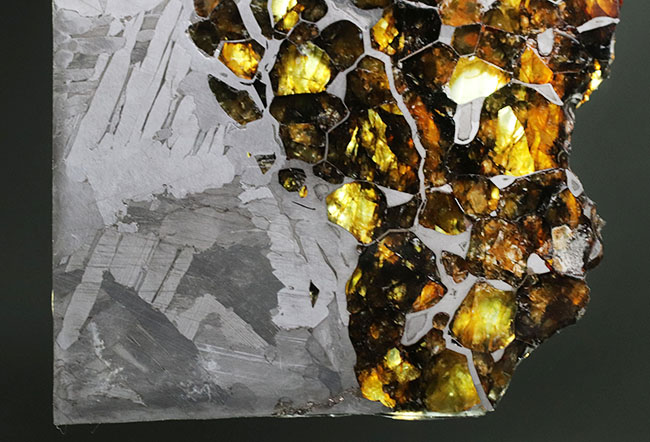 最厚部３ミリもあるにも関わらずカンラン石が煌々と輝く！１０センチ超える、巨大なロシア産の石鉄隕石（パラサイト）、セイムチャン（Seymchan）の上質標本（その3）