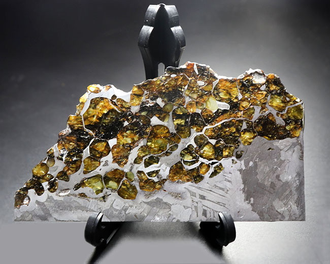 最厚部３ミリもあるにも関わらずカンラン石が煌々と輝く！１０センチ超える、巨大なロシア産の石鉄隕石（パラサイト）、セイムチャン（Seymchan）の上質標本（その4）