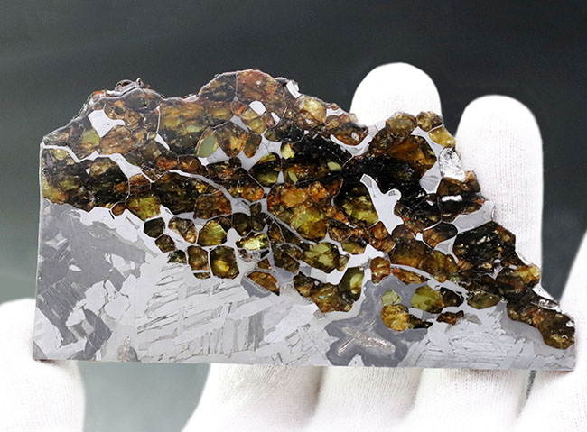 最厚部３ミリもあるにも関わらずカンラン石が煌々と輝く！１０センチ超える、巨大なロシア産の石鉄隕石（パラサイト）、セイムチャン（Seymchan）の上質標本（その5）