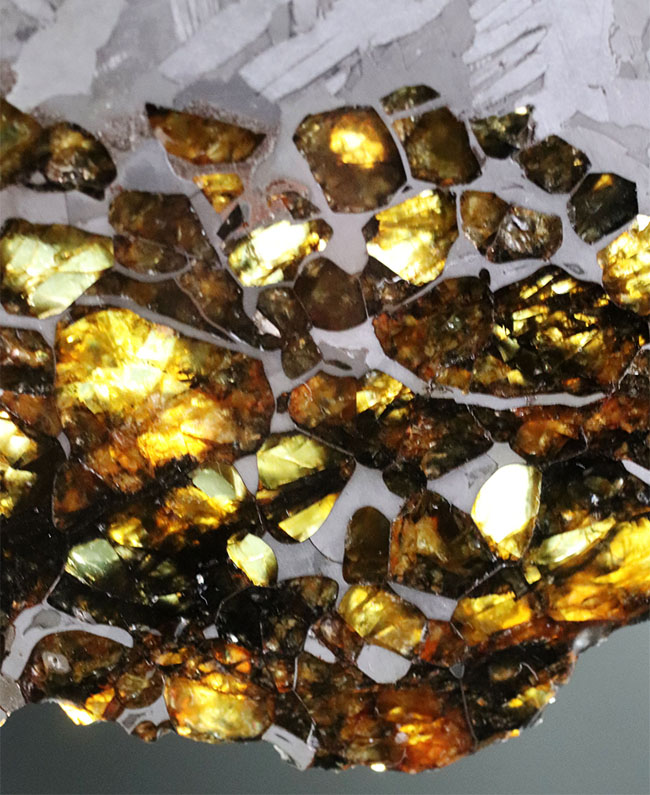 最厚部３ミリもあるにも関わらずカンラン石が煌々と輝く！１０センチ超える、巨大なロシア産の石鉄隕石（パラサイト）、セイムチャン（Seymchan）の上質標本（その6）