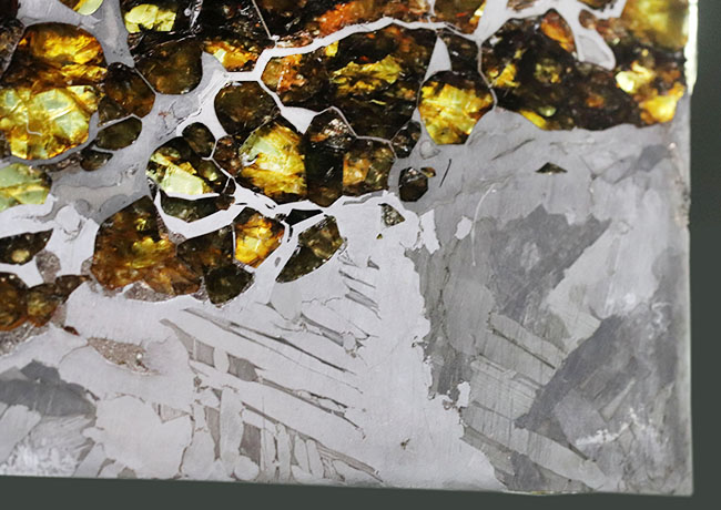 最厚部３ミリもあるにも関わらずカンラン石が煌々と輝く！１０センチ超える、巨大なロシア産の石鉄隕石（パラサイト）、セイムチャン（Seymchan）の上質標本（その8）
