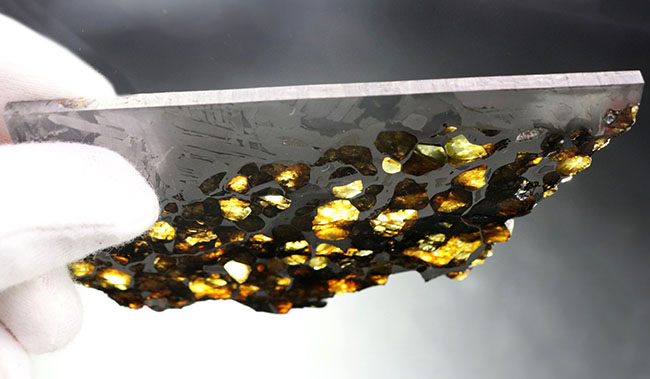最厚部３ミリもあるにも関わらずカンラン石が煌々と輝く！１０センチ超える、巨大なロシア産の石鉄隕石（パラサイト）、セイムチャン（Seymchan）の上質標本（その9）
