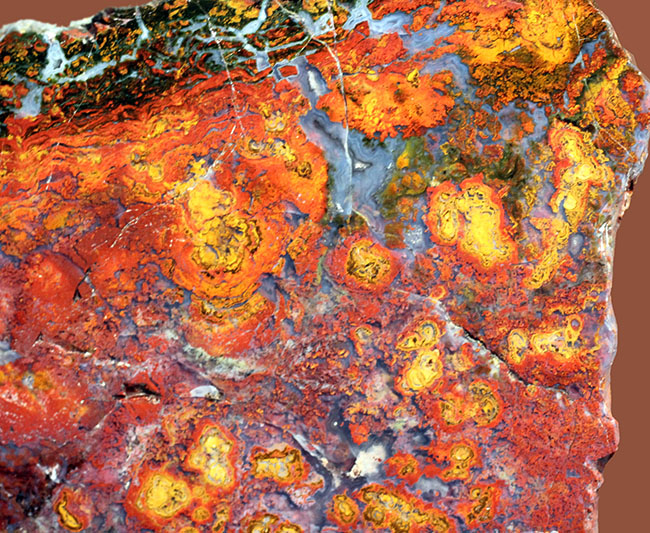 互層の模様が多数散見されるストロマトライトを含むメノウ(Agate)。珍しいハンガリー産。(その1)