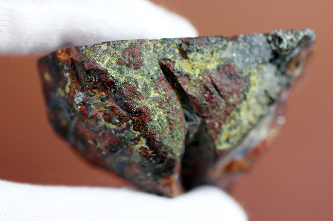 互層の模様が多数散見されるストロマトライトを含むメノウ(Agate)。珍しいハンガリー産。(その11)