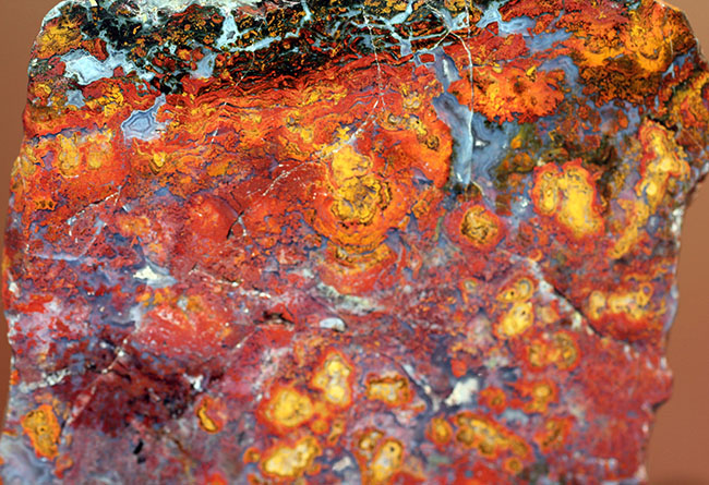 互層の模様が多数散見されるストロマトライトを含むメノウ(Agate)。珍しいハンガリー産。(その12)