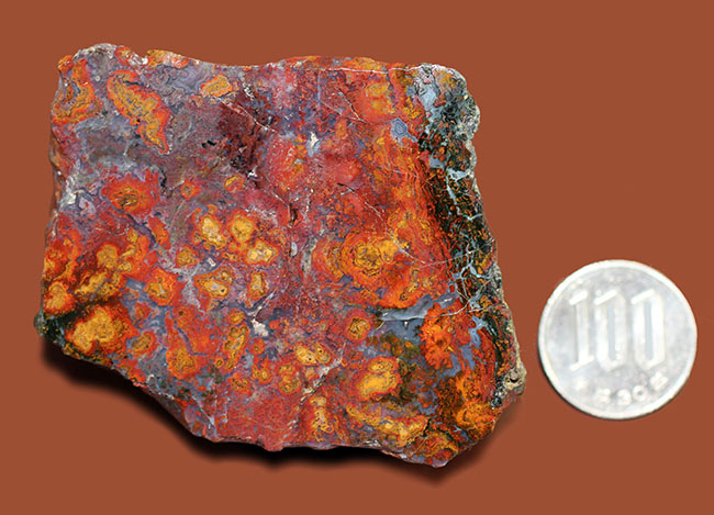 互層の模様が多数散見されるストロマトライトを含むメノウ(Agate)。珍しいハンガリー産。(その13)