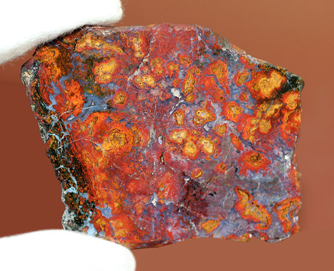 互層の模様が多数散見されるストロマトライトを含むメノウ(Agate)。珍しいハンガリー産。(その2)