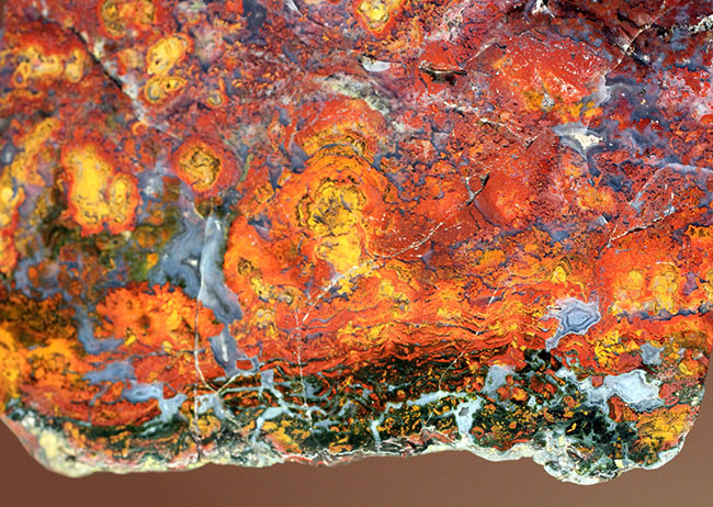 互層の模様が多数散見されるストロマトライトを含むメノウ(Agate)。珍しいハンガリー産。(その3)