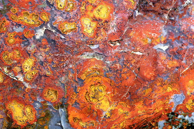 互層の模様が多数散見されるストロマトライトを含むメノウ(Agate)。珍しいハンガリー産。(その4)