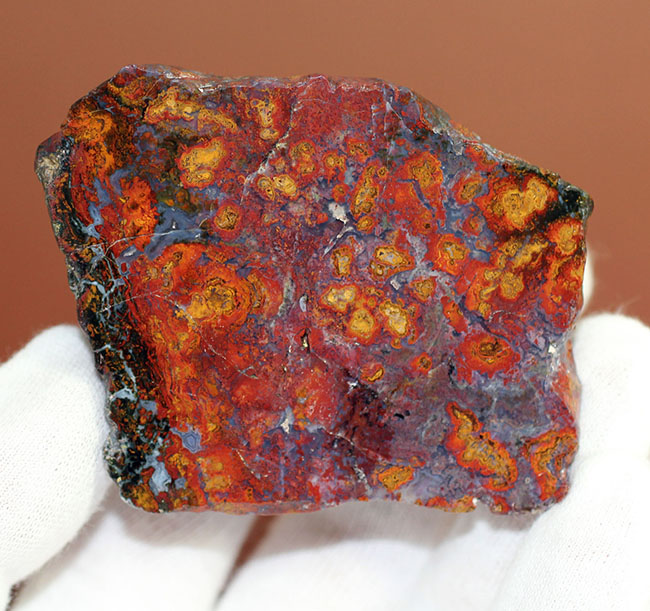 互層の模様が多数散見されるストロマトライトを含むメノウ(Agate)。珍しいハンガリー産。(その5)