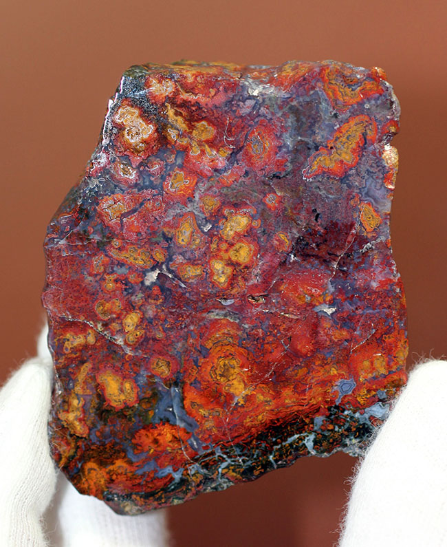 互層の模様が多数散見されるストロマトライトを含むメノウ(Agate)。珍しいハンガリー産。(その7)