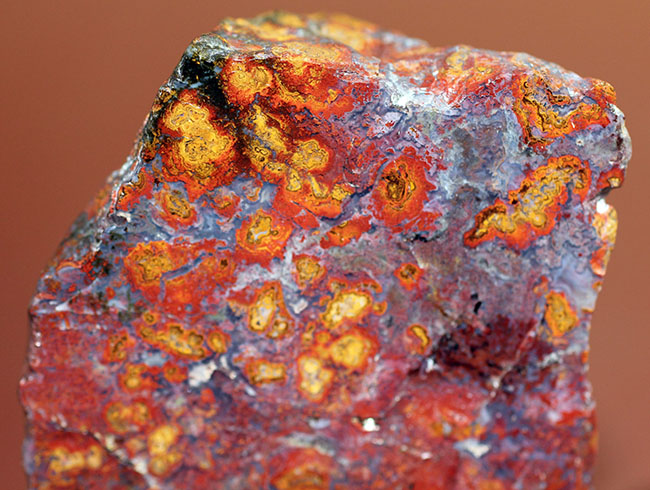 互層の模様が多数散見されるストロマトライトを含むメノウ(Agate)。珍しいハンガリー産。(その8)