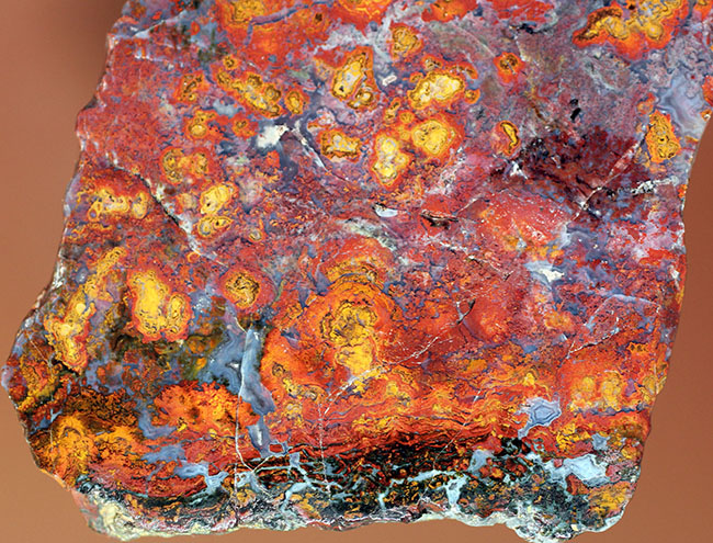 互層の模様が多数散見されるストロマトライトを含むメノウ(Agate)。珍しいハンガリー産。(その9)
