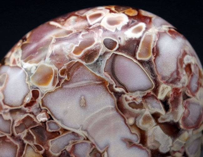 ホワイトスネーク！レアな配色、インテリアに溶け込む、人気鉱物、キングコブラジャスパー（Orbicular Jasper）（その13）