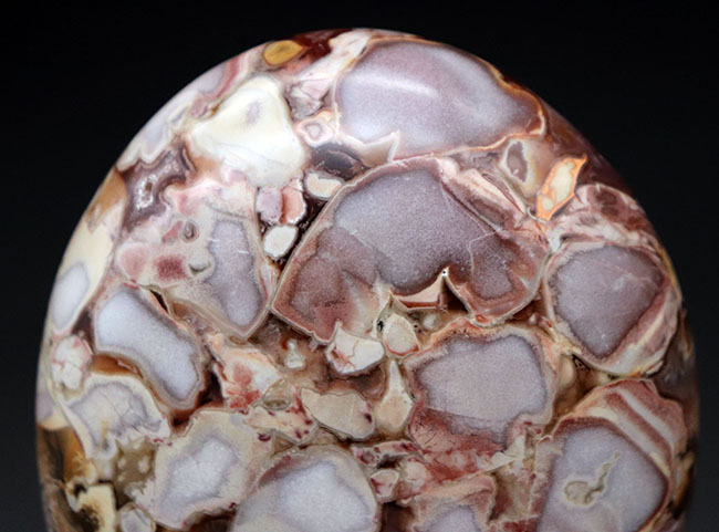 ホワイトスネーク！レアな配色、インテリアに溶け込む、人気鉱物、キングコブラジャスパー（Orbicular Jasper）（その2）