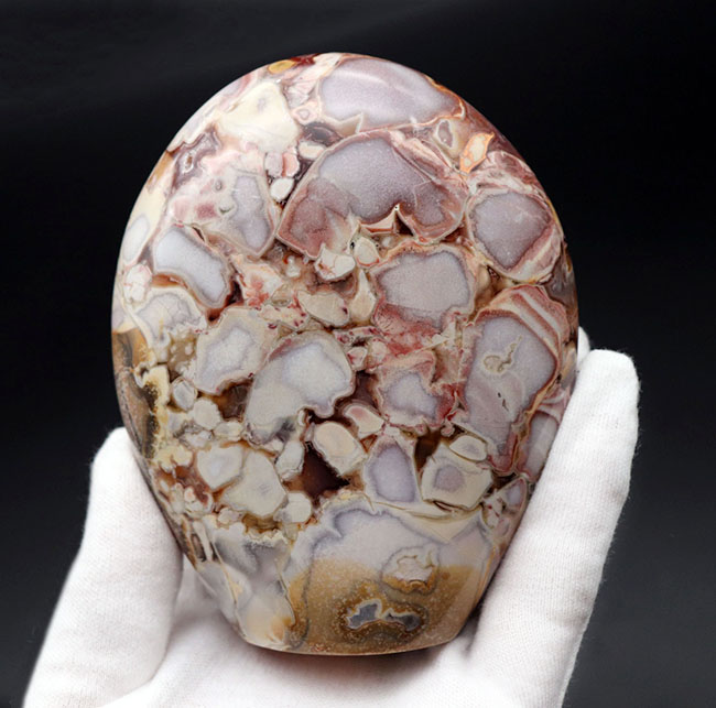 ホワイトスネーク！レアな配色、インテリアに溶け込む、人気鉱物、キングコブラジャスパー（Orbicular Jasper）（その4）