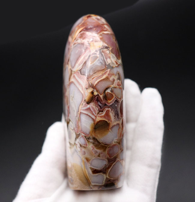 ホワイトスネーク！レアな配色、インテリアに溶け込む、人気鉱物、キングコブラジャスパー（Orbicular Jasper）（その5）