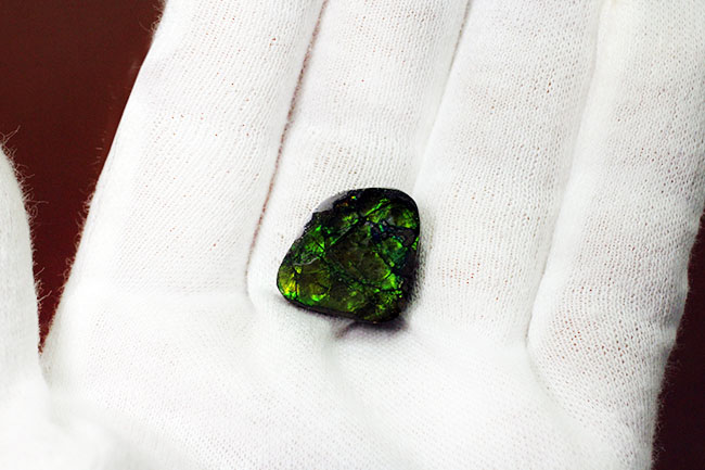 美しい緑が特徴のアンモライトピース（Ammolite）。ファーストコレクションにいかがでしょう。（その2）