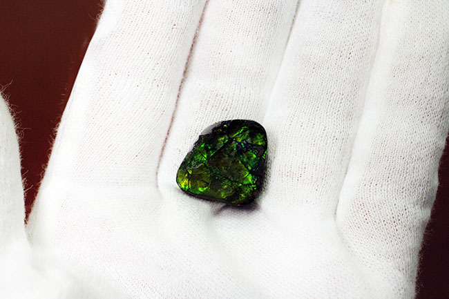 美しい緑が特徴のアンモライトピース(Ammolite)。ファーストコレクションにいかがでしょう。(その2)