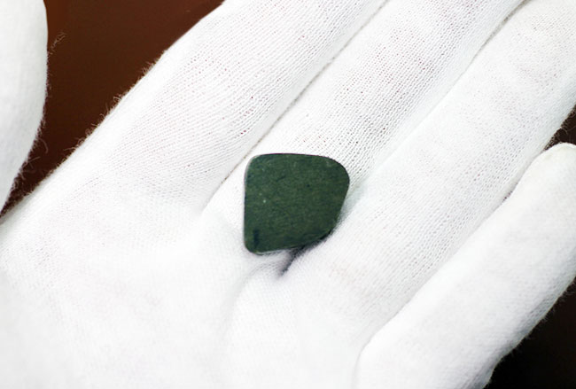 美しい緑が特徴のアンモライトピース(Ammolite)。ファーストコレクションにいかがでしょう。(その7)
