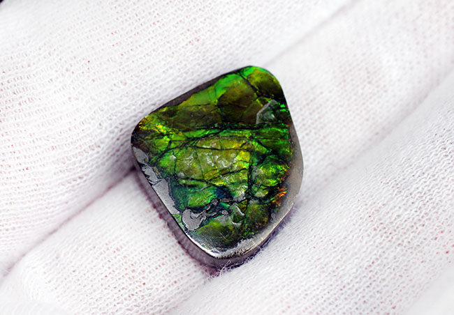 美しい緑が特徴のアンモライトピース(Ammolite)。ファーストコレクションにいかがでしょう。(その8)