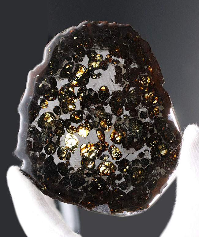 ラージサイズ、厳選品！２０１６年に発見された新しいパラサイト隕石、人気のケニヤンパラサイト隕石（本体防錆処理済み）（その1）