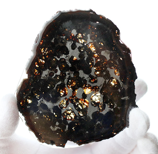 ラージサイズ、厳選品！２０１６年に発見された新しいパラサイト隕石、人気のケニヤンパラサイト隕石（本体防錆処理済み）（その3）