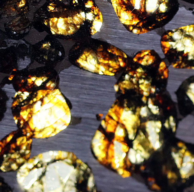 ラージサイズ、厳選品！２０１６年に発見された新しいパラサイト隕石、人気のケニヤンパラサイト隕石（本体防錆処理済み）（その6）