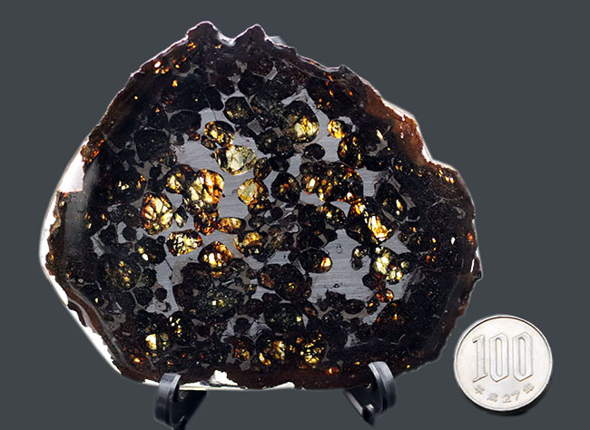 ラージサイズ、厳選品！２０１６年に発見された新しいパラサイト隕石、人気のケニヤンパラサイト隕石（本体防錆処理済み）（その9）