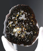 ラージサイズ、厳選品！２０１６年に発見された新しいパラサイト隕石、人気のケニヤンパラサイト隕石（本体防錆処理済み）
