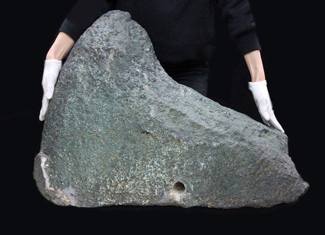 格安！横幅８１センチ、重量８８キロという、規格外の博物館級標本！宝石として名高いアメシスト（Amethyst）のドーム状原石（その10）