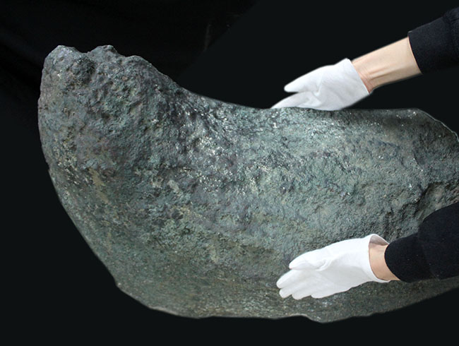 格安！横幅８１センチ、重量８８キロという、規格外の博物館級標本！宝石として名高いアメシスト（Amethyst）のドーム状原石（その11）