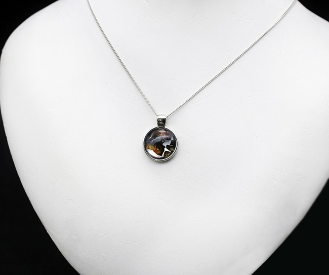 煌煌と輝くカンラン石にご注目！世界で最も美しい隕石と評される