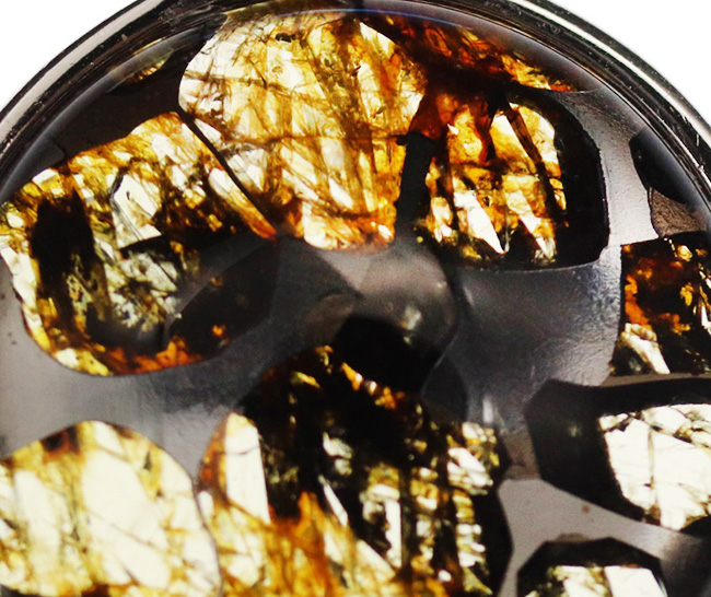 煌煌と輝くカンラン石にご注目！世界で最も美しい隕石と評される