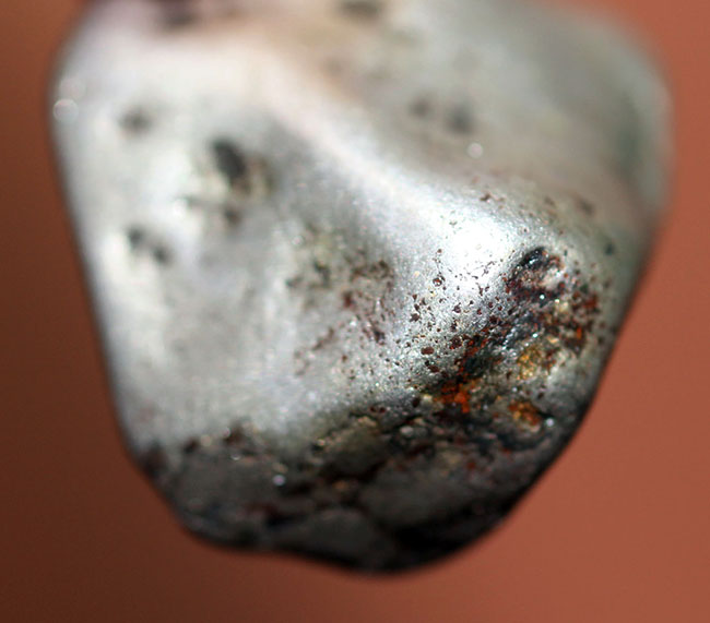最も代表的な鉄隕石（隕鉄）の一つ、1922年に学会に記載されたオデッサ鉄隕石（その3）